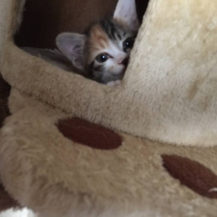 6f9b04c6 4e05 4dc4 a1af 4d919cf0be68 1668603608741