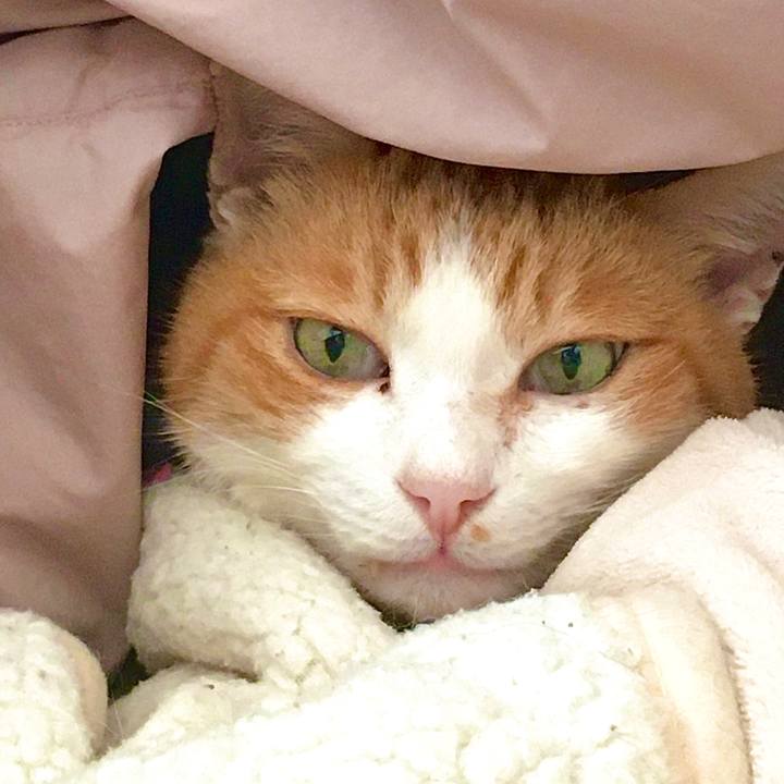 6f9b2337 825b 4179 b4c1 523180e625c5 1612769690626