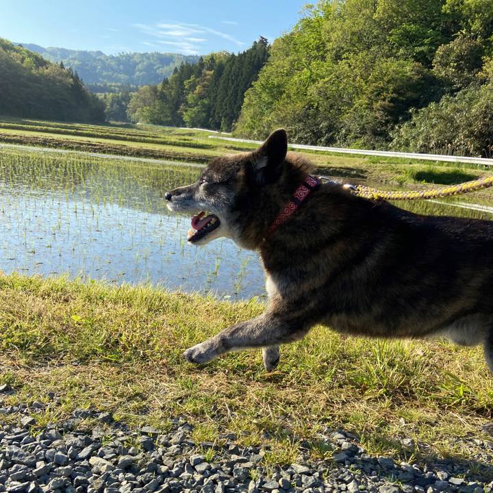 6f9b2b79 428d 4cad 9364 9bb36d9dcbad 1620858079757