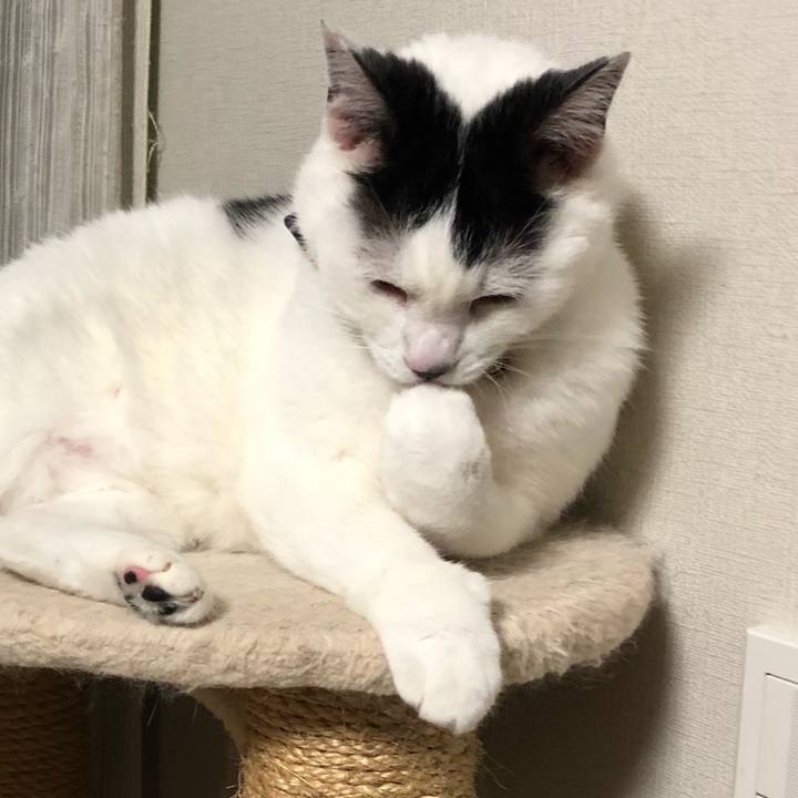 6f9b2c8f c5cc 4134 bd8a 6290699f280c 1573738905790