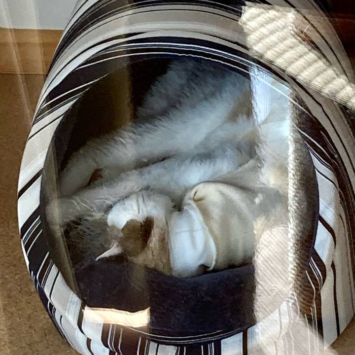 6f9b4384 f614 445d ab35 ed481a3f6b63 1677467469303