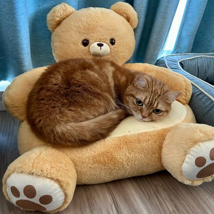 6f9b56fa 5562 49f9 bc14 0d0ae7f1565c 1734738249333