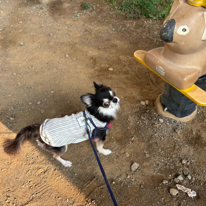 6f9b60db 024b 40f6 8786 a2e8645d6f12 1725811651812