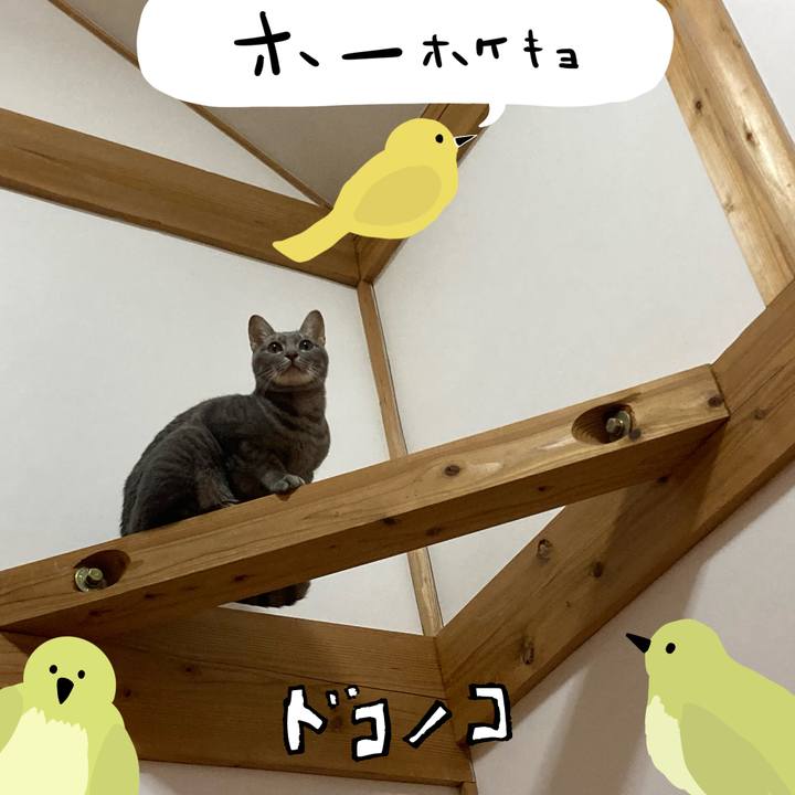 6f9b7a40 5938 421b 9400 be410fcbfa54 1711091899492