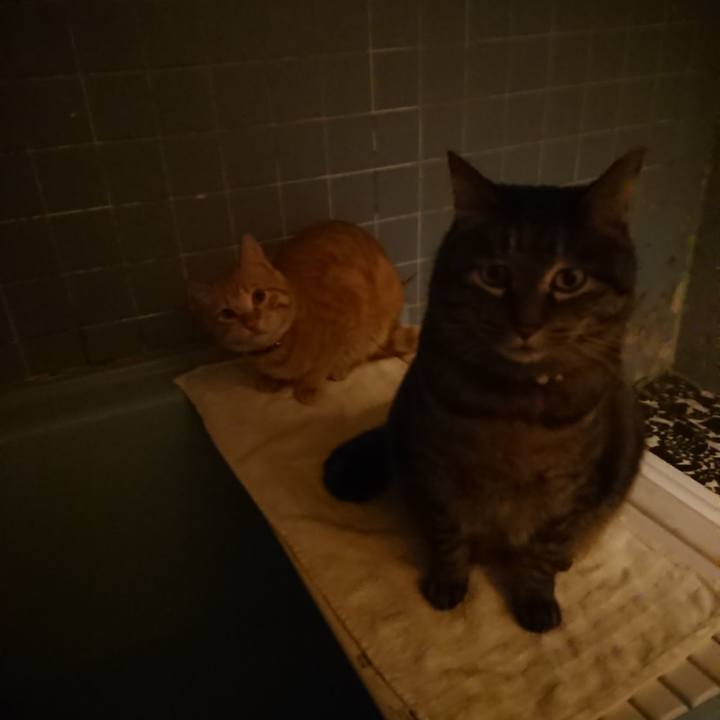 6f9b7d34 b645 4a65 8193 781001adcf7d 1643977628906