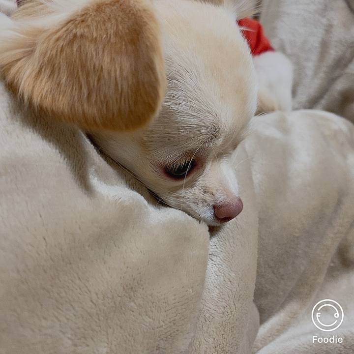 6f9b9d4a ed92 4392 902b bf7ba64518f4 1606310803532