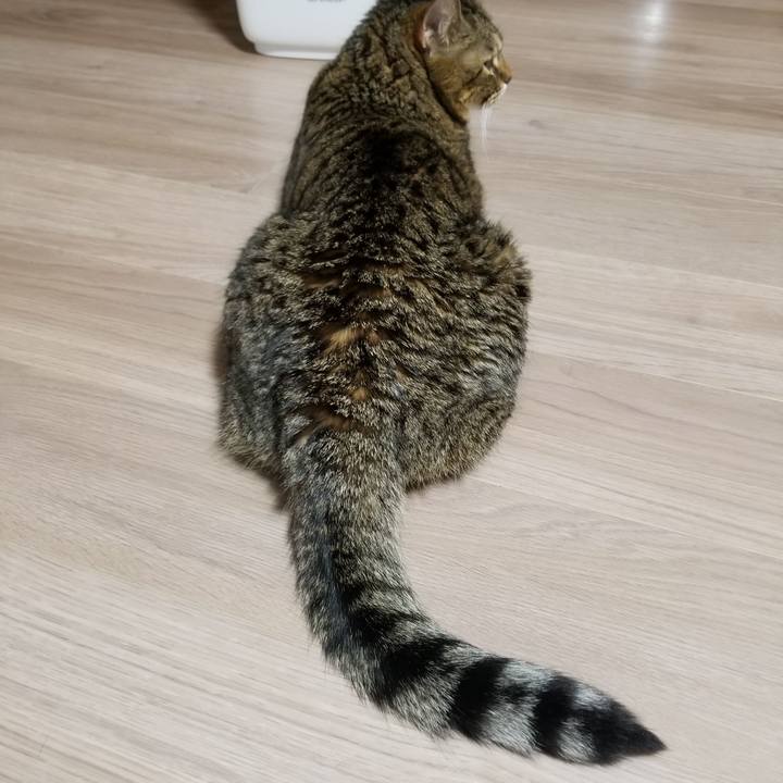 6f9b9d5d 8880 43af b85b b25292d257db 1607895502692