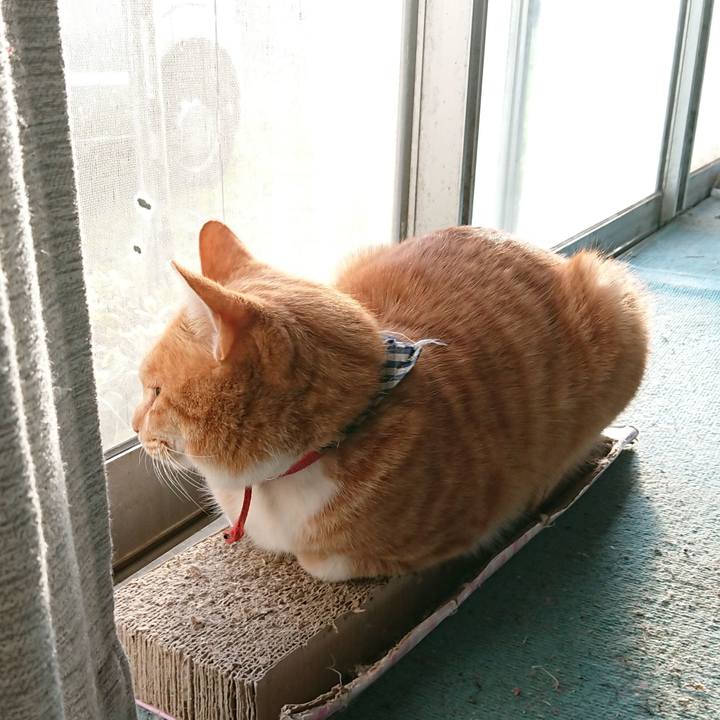 6f9bcd43 3520 4d4a bc42 490e79c5deda 1573285532800