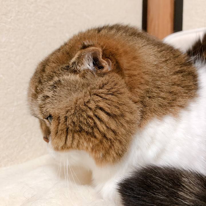 6f9bd367 5027 4443 8282 aceca30d0898 1609238197973