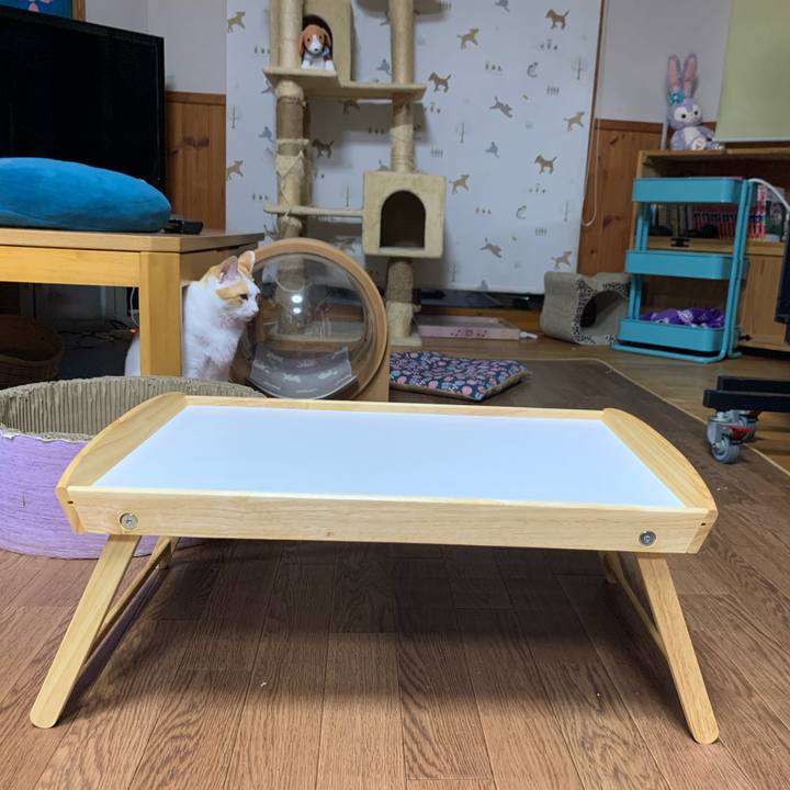 6f9bd8d2 bfbe 4595 bf97 822321a090f6 1619265430878