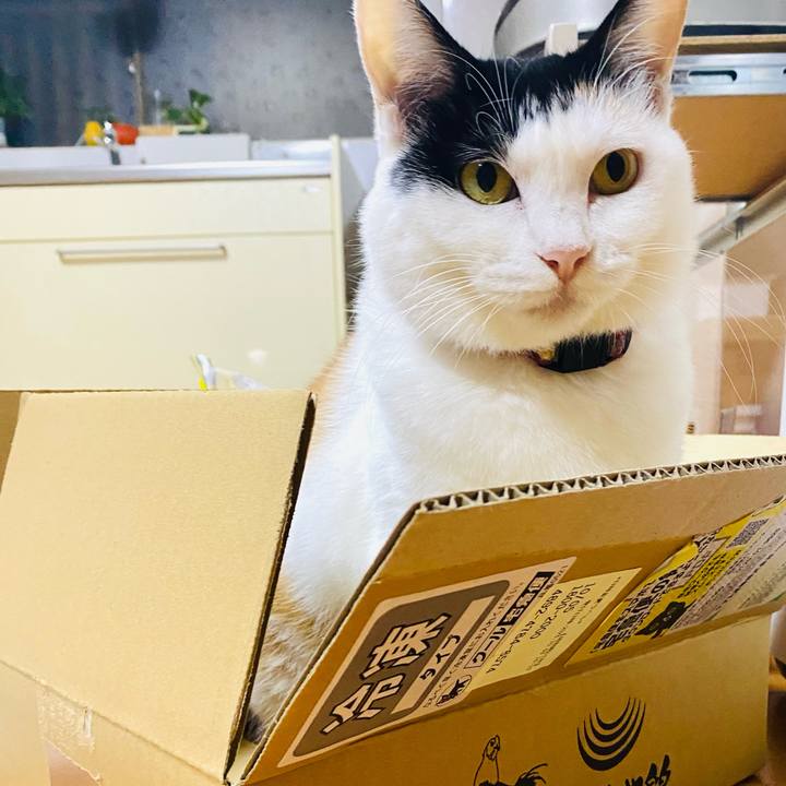 6f9be502 1195 4089 a811 9ad85a9f9ae6 1696542680248