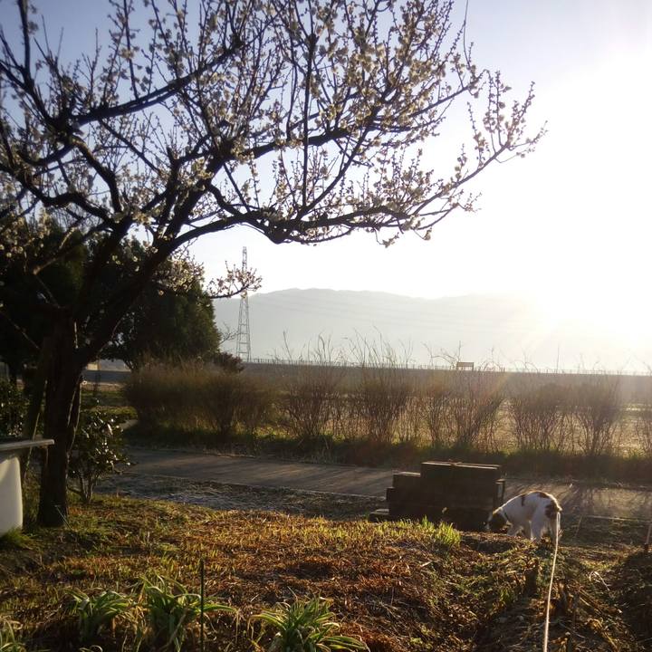 6f9bedf3 dc7b 467d 9a68 17794bd8512d 1520036357662