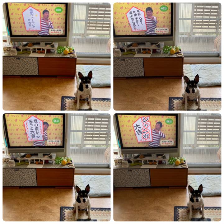 6f9beebc f0de 4014 b18b 368693b2a724 1592777746687