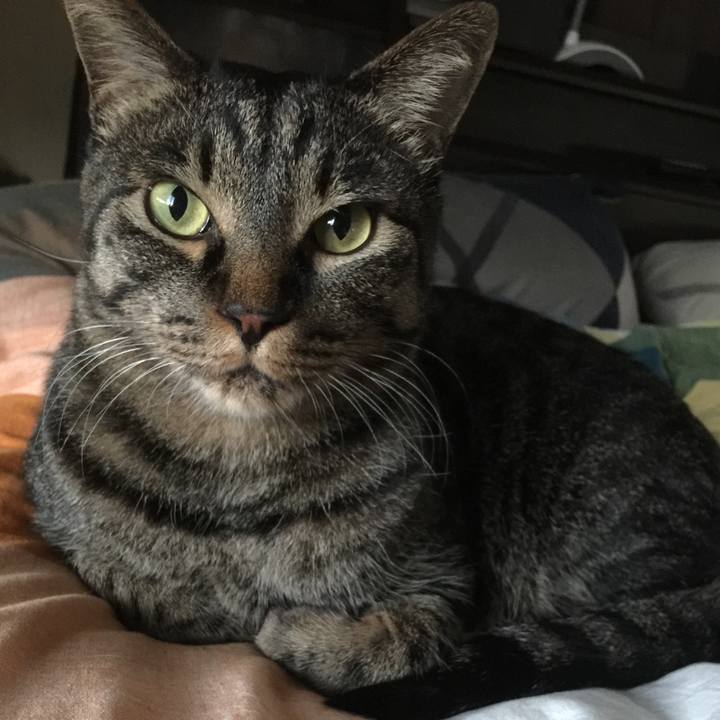 6f9c5f46 b33c 4d1a 986b a52f1a9e3b13 1573454378006