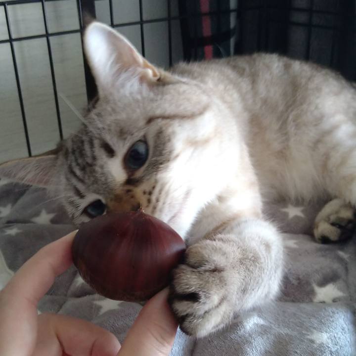 6f9c66b1 221c 4516 9af0 ed964f96f452 1664076730791