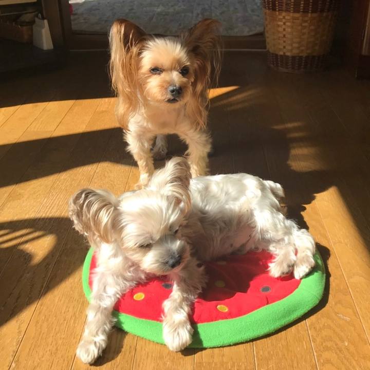 6f9c7a55 bc5a 4d0f a666 9493a970c5a2 1569665311281