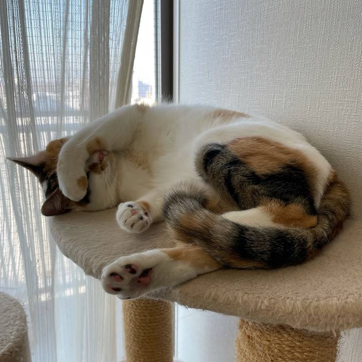 6f9ccb28 8073 4ac3 a2d9 2bdd6e4ac0f9 1606734918911