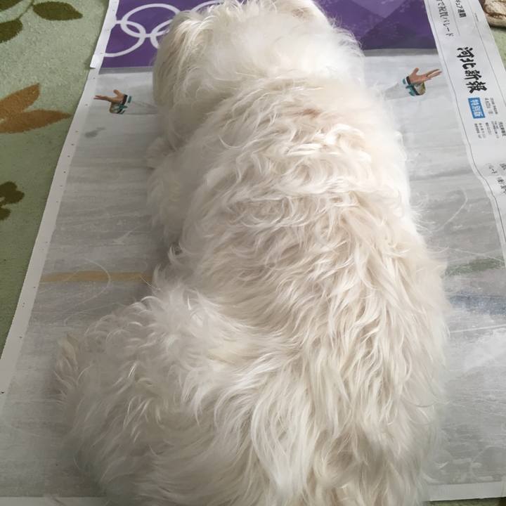 6f9cd88d 72f9 462a 9af2 c89ac296390b 1524366668354