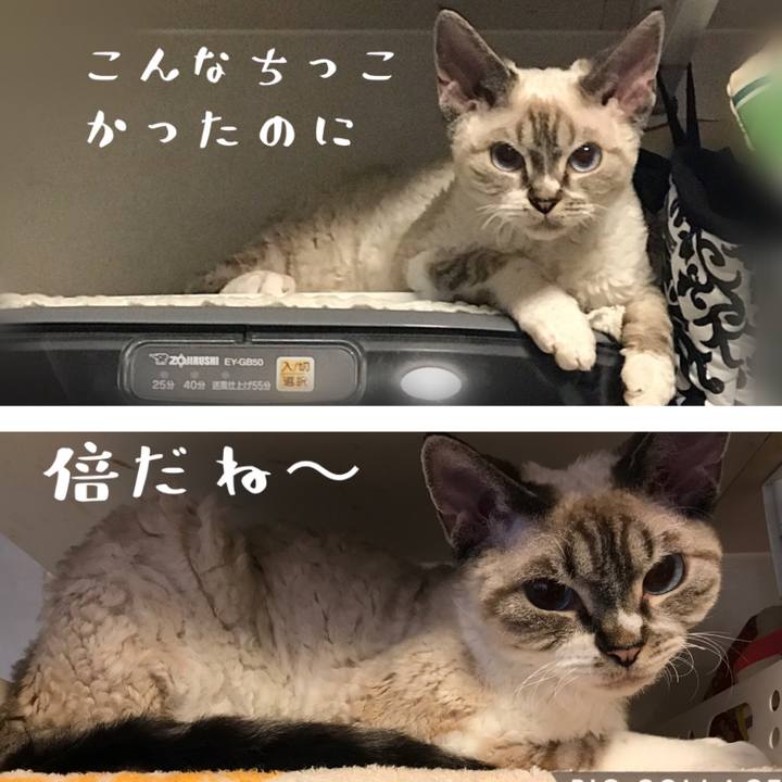 6f9cf827 b063 42a5 8780 d6133dc1e424 1600390913840