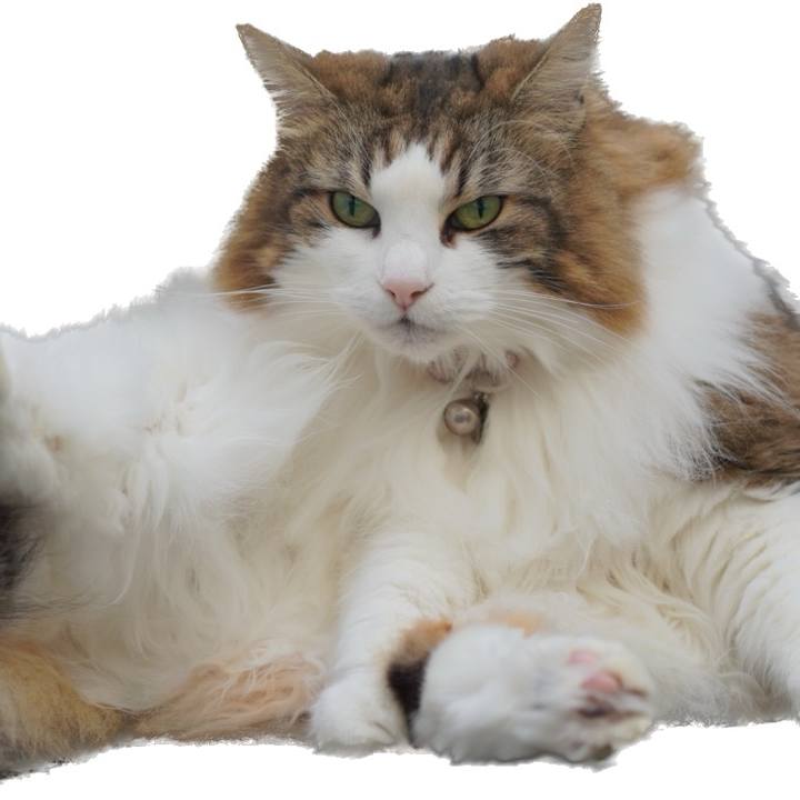 6f9d13b6 71e9 4b19 a235 0b7803e1f230 1698216169302