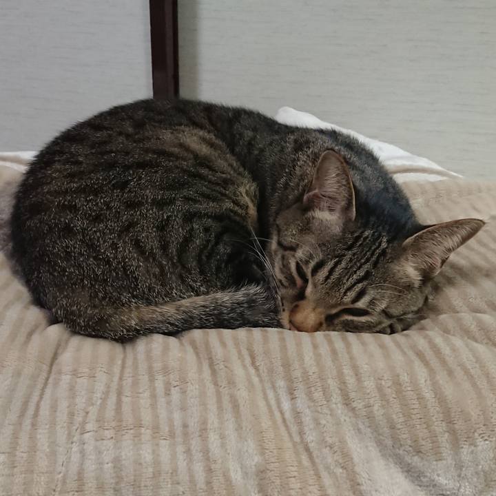 6f9d1edb afd9 4573 9795 96abacbdd129 1512925356959