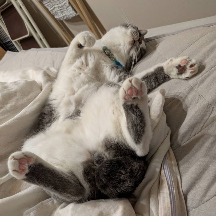 6f9d4abc 7ed0 4a08 bc28 390a8606e93a 1745803241240