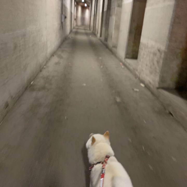 6f9d5803 55d4 4366 aeb9 e6245b971e38 1557531324985