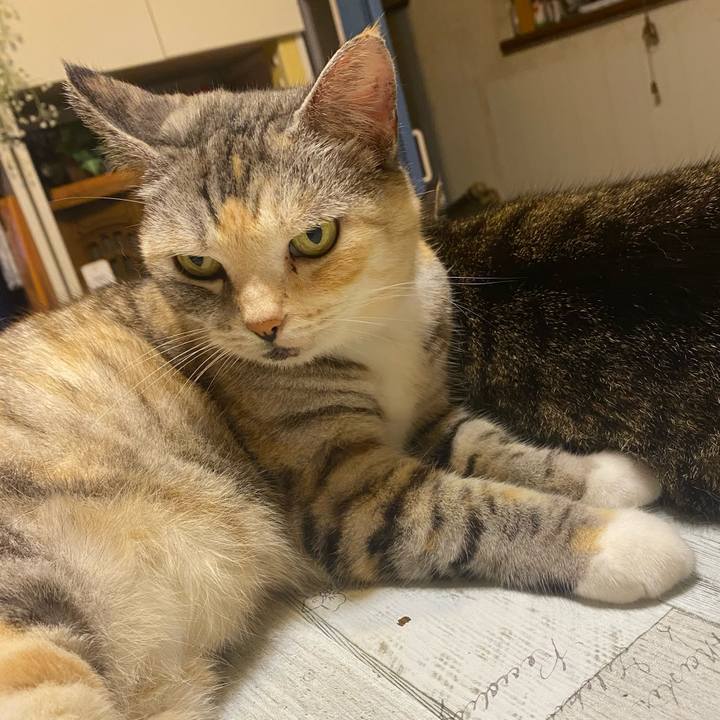 6f9d5834 fbe8 4d75 9508 32775e7984a8 1626610821083