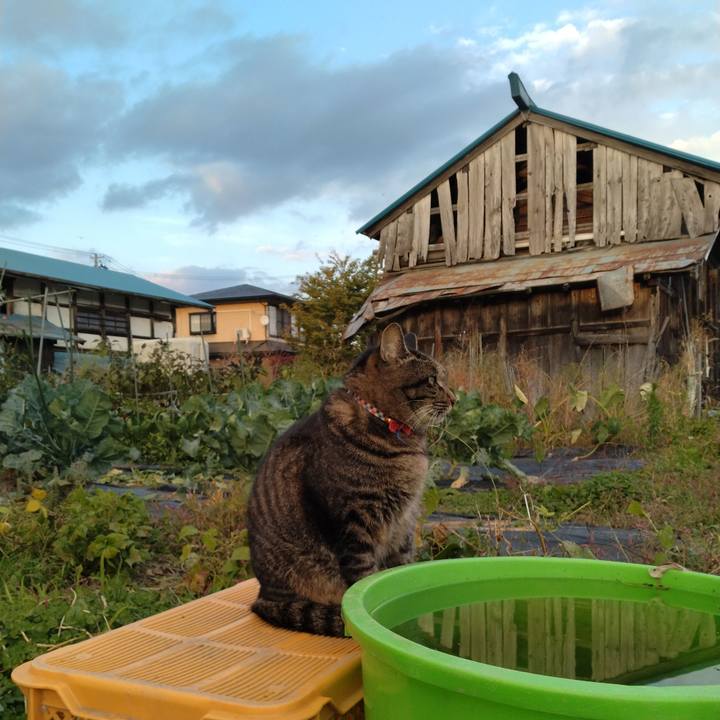 6f9d83c1 c97d 476a 92c7 2c6f405a7205 1698223961095