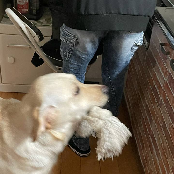 6f9d911f 80a9 4120 a37a ed16bf3a911c 1641767621446