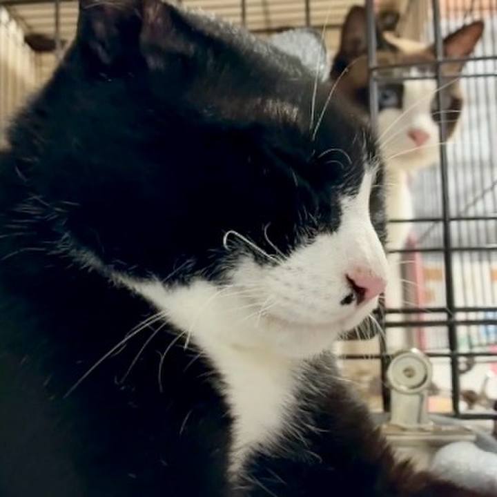 6f9d95bc 55e9 4429 9919 7a1826c4090d 1752408481871