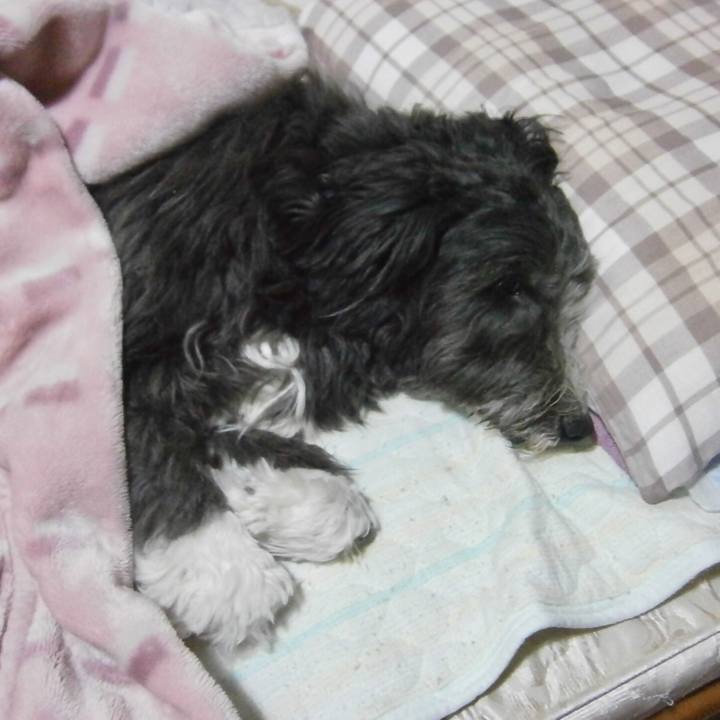 6f9daf26 ea9d 4ea2 93bb 804db5a5e81d 1517660473546