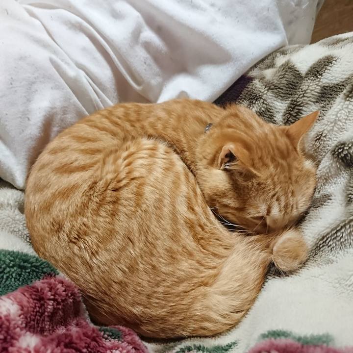 6f9de129 c709 4517 b7d7 58387917260b 1643543117104