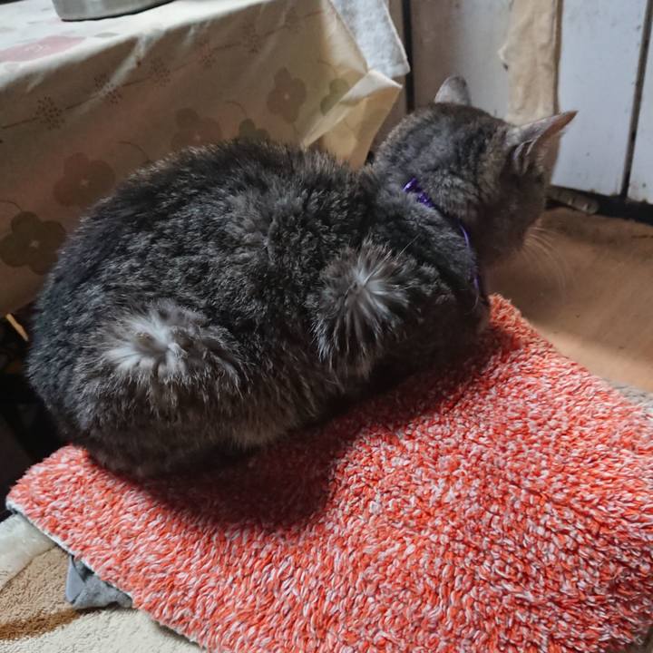 6f9deadb 80a1 4696 aa5f 01f9cc12d160 1580812157717