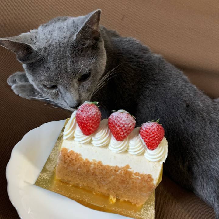 6f9df58e c39e 4650 8f6f 8dc7e6359e0e 1653632811596