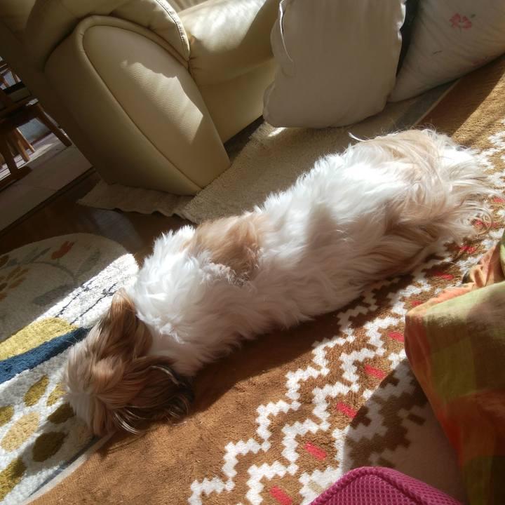 6f9e3ba1 bd70 4e71 8f31 2dc6369c6218 1513310348777