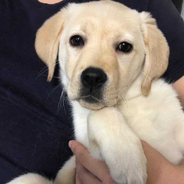 6f9e4d6d 168d 4697 ac24 9c1ffb356da6 1552526684157