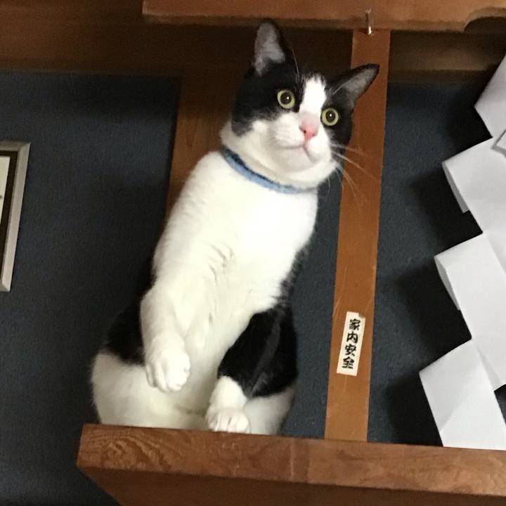 6f9e4eb8 88df 4e3a 8385 f9f58882d776 1733132494846