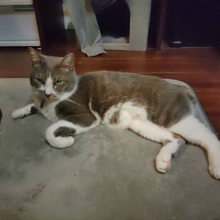 6f9e767b 33fb 4e9a ab58 15e91155060b 1672754726195