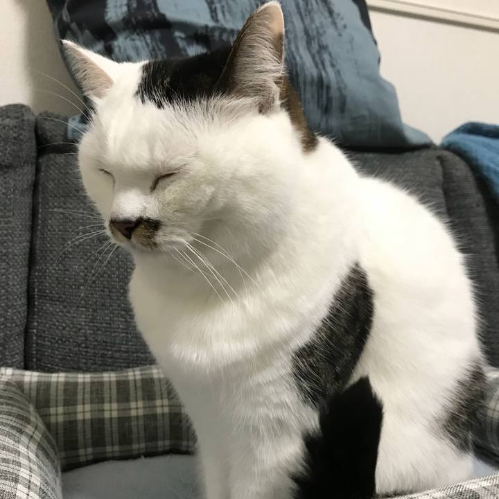 6f9e8f0a 23bb 4149 bc83 f0f52f217c04 1516850672626