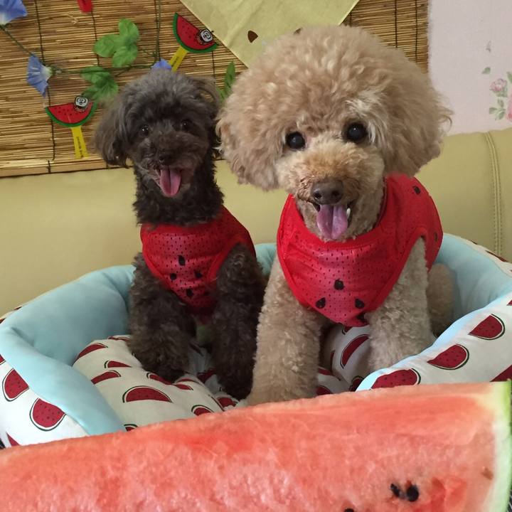 6f9eb16b 96a4 45a9 9159 1efaf9046364 1564382217177