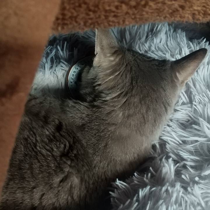 6f9ede00 65da 473f 884b b19befc150ab 1676682074974