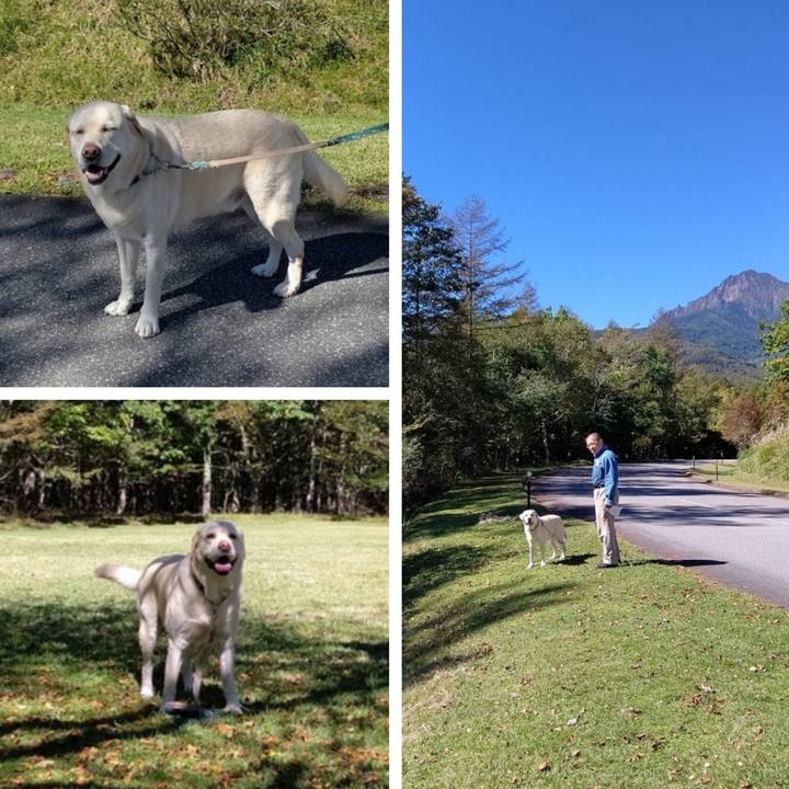 6f9ee09d e460 4884 be35 05d7d3b1fc9d 1664682910996