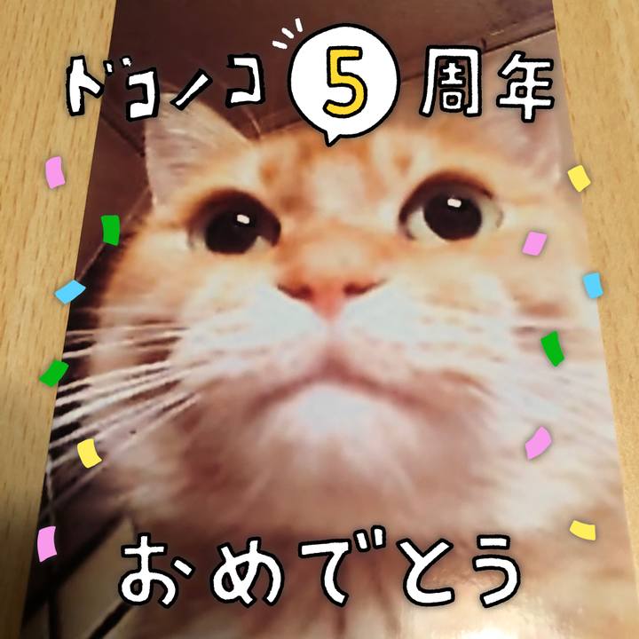 6f9f0424 1ba5 4eb9 a241 28c3ef65f4a4 1623674828860