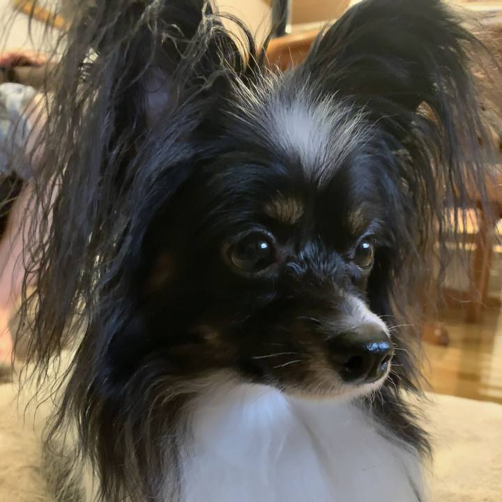 6f9f1174 126c 463a 88e0 682e65b3e47b 1566215640347