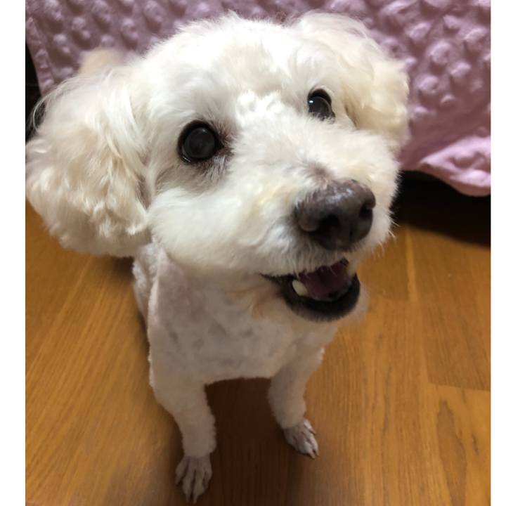 6f9f5cf7 b30f 45a9 b555 b23af144ae45 1536660394343