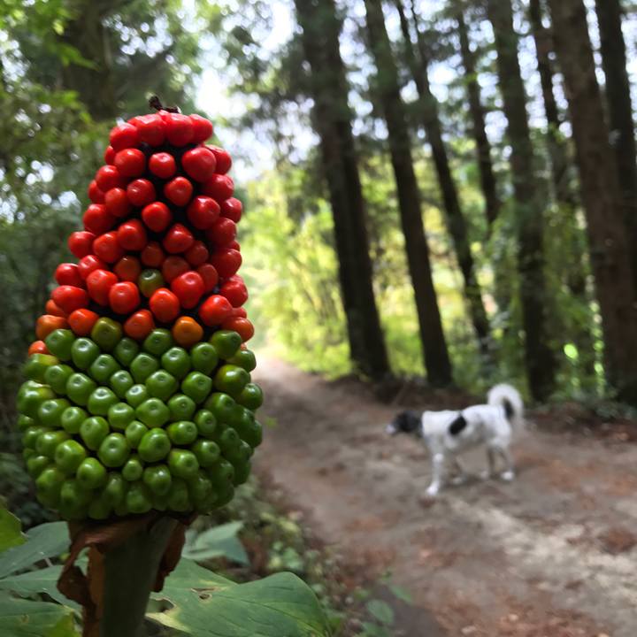 6f9f5f89 41a3 4a2d 980f f10b53ebd9b4 1540304352013