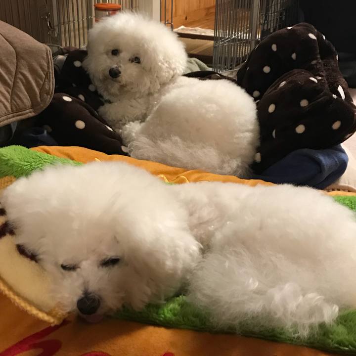 6f9f6b83 405b 49b3 bf8e dd8b08bebf94 1544530081143