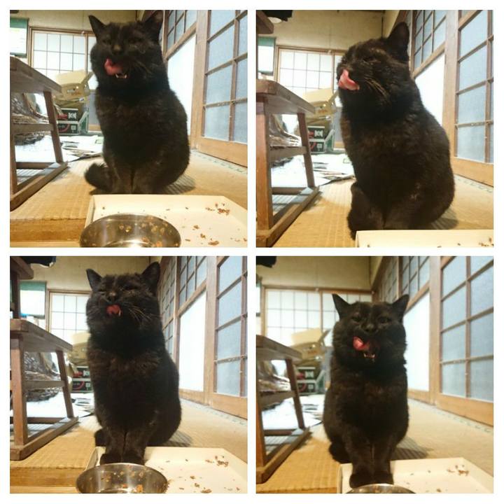 6f9f76fe 59a3 48a6 91c9 ba11ab07feea 1617705863992