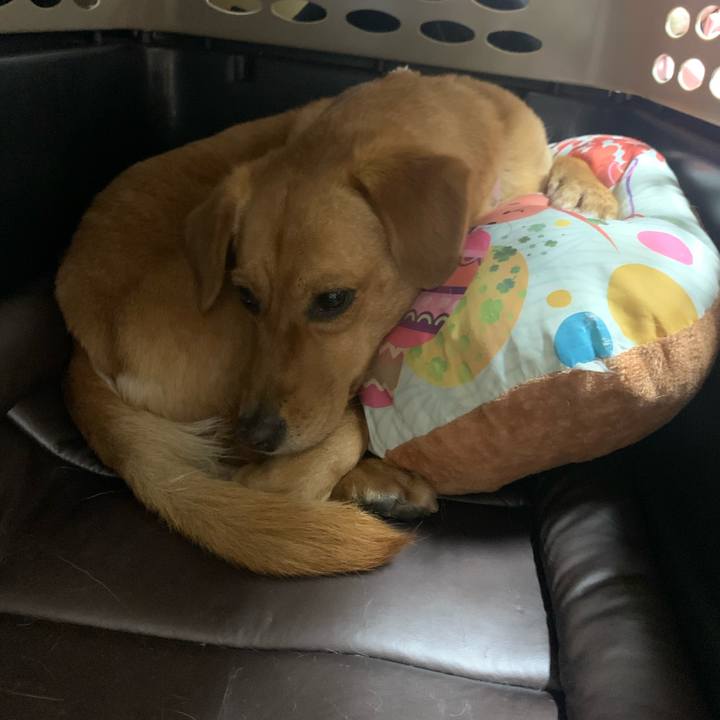 6f9fc02d f774 46cd bb67 ad7bc398678f 1620750637407